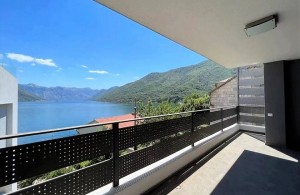 thumb_3343129_photo_1_2024-07-24_18-32-18.jpg