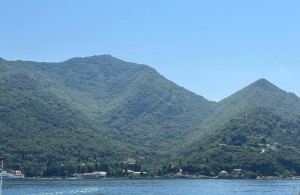 thumb_3343841_img-20240718-wa0020.jpg