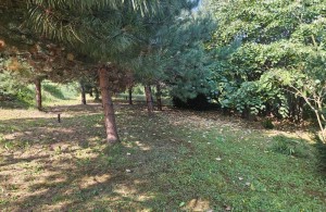thumb_3351717_2.jpg