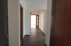thumb_3352380_img_20240731_141936r.jpg