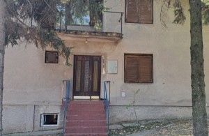 thumb_3352887_20240831_112208natasar.jpg