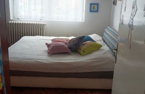 thumb_3356198_4.jpeg
