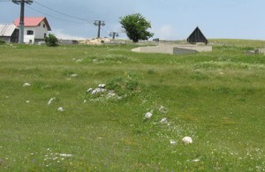 thumb_3356958_pogled-na-plac-sa-juga.1.jpg