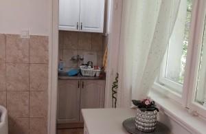 thumb_3358039_01.jpg
