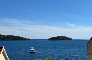thumb_3360355_img_3789.jpg