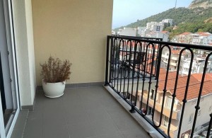 thumb_3360375_img_3173.jpeg