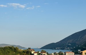 thumb_3360437_7.jpg