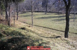 thumb_3361080_l.jpg