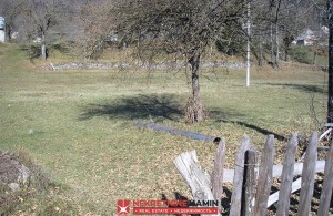 thumb_3361080_x.jpg