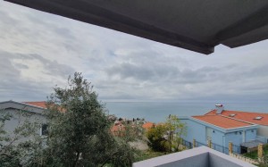 thumb_3362019_6fatij9ric.jpg