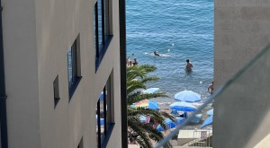 thumb_3362795_img_1243.jpg