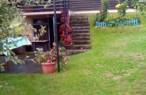 thumb_3363616_1.jpg