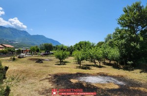 thumb_3363741_kamin-nekretnine_4.jpg