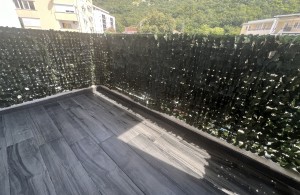thumb_3364934_img_2370.jpeg
