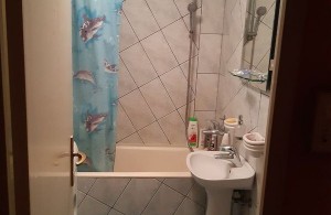 thumb_3365814_6.jpeg