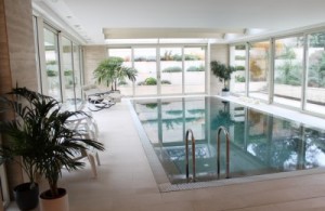 thumb_3365992_swimmi2.jpg