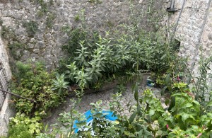 thumb_3368613_img_0320.jpg