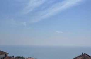 thumb_3370895_img_6966r.jpeg