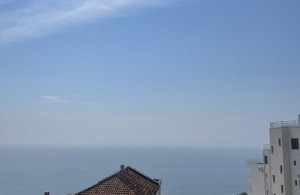 thumb_3370895_img_6967r.jpeg