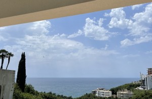 thumb_3370927_img_6992.jpeg