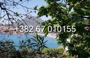 thumb_3371773_1--6.jpg
