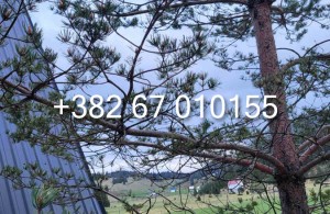 thumb_3371778_1-614.jpg