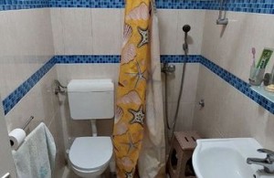 thumb_3373460_7.jpeg