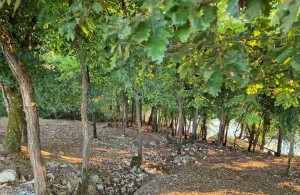 thumb_3373470_danilovgrad-reka-zeta-plac-prodaja-kamin-nekretnine-2.jpg