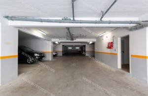 thumb_3375920_img_9862.jpeg