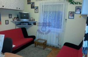 thumb_3376738_3.jpg