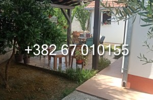 thumb_3376741_1--2.jpg
