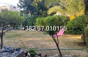 thumb_3376753_1-1725429455527.jpg