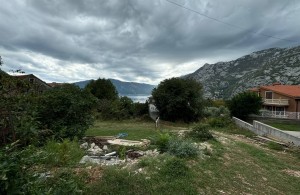 thumb_3378103_photo_2024-09-12_14-01-56.jpg
