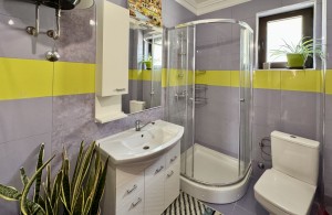 thumb_3379877_img_2592.jpg
