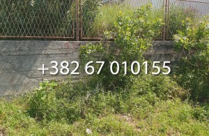 thumb_3380849_3.jpg