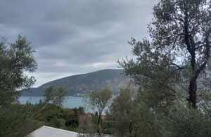 thumb_3380856_20240913_091521.jpg