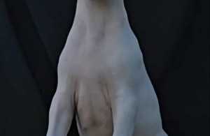 thumb_3381276_4550438118_1540072180355350_4037682834163348200_n.jpg