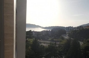 thumb_3381314_03a36b76-90b1-4f5a-823d-3f38ef747d4e.jpeg