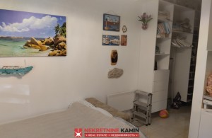 thumb_3383499_ppp.jpg
