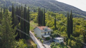 thumb_3383549_dji_0550.jpeg