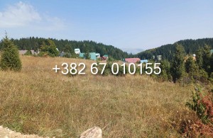 thumb_3383718_1--6.jpg