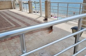 thumb_3383828_img_2354.jpeg