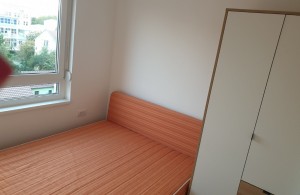 thumb_3384552_9.jpg
