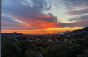 thumb_3384626_2024-09-18-12.28.59.jpg