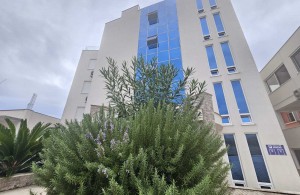 thumb_3384728_img_2583.jpeg