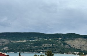 thumb_3386707_9.jpg