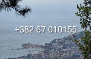 thumb_3387436_1--5.jpg