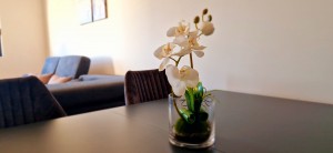 thumb_3387547_20240606_174306.jpg