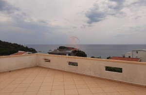 thumb_3388554_11201-b0916.3.jpg