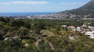 thumb_3388630_dji_0895.jpg